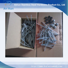 Umbrella Head Roofing Nail with Plastic Washer